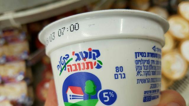 Коттедж "Тнува"