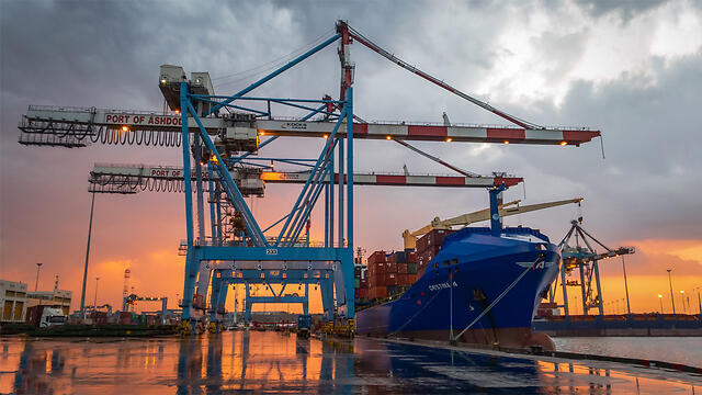 Фото: Шабтай Таль