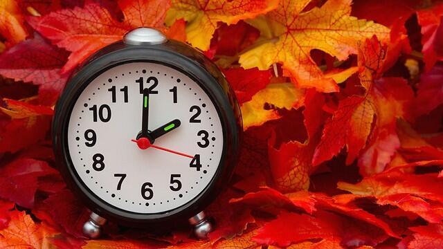 Фото: shutterstock