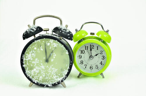 Фото: shutterstock