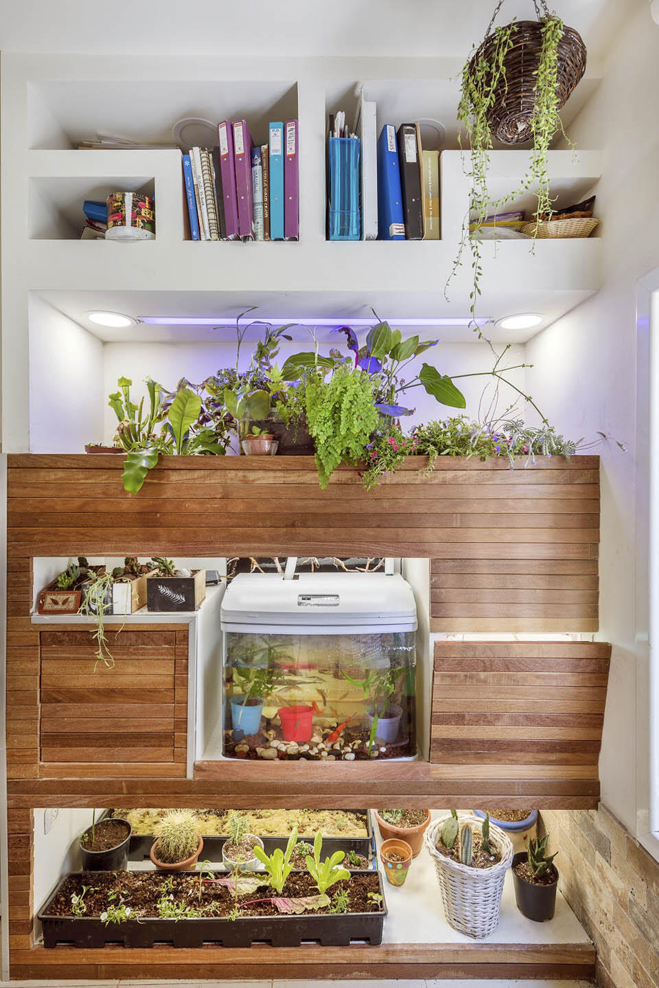 Грядка с овощами прямо в гостиной