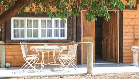 фото: официальный сайт