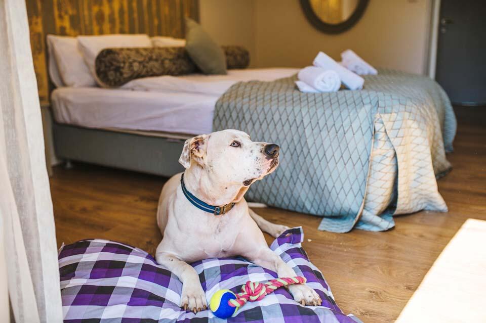 Деревня отдыха Эйн Зиван. Фото: Ади Перец (фото Ади Перец) Деревня отдыха Эйн Зиван. Фото: Ади Перец