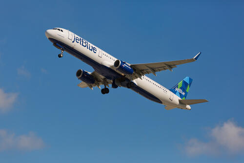 Фото: Carlos Yudica shutterstock