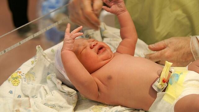 Фото: shutterstock (צילום: shutterstock) Фото: shutterstock