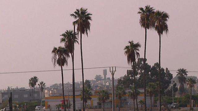 Фото: Шамир Эльбаз (צילום: שמיר אלבז) Фото: Шамир Эльбаз