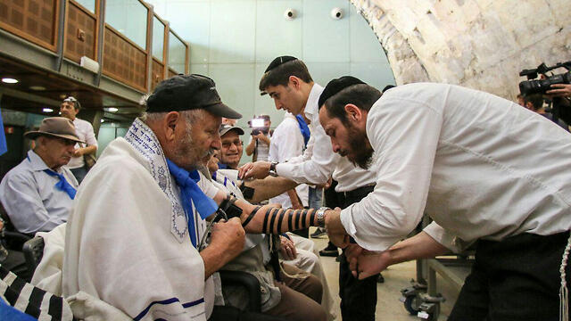 Фото: Ноам Москович (צילום: נועם מוסקוביץ) Фото: Ноам Москович