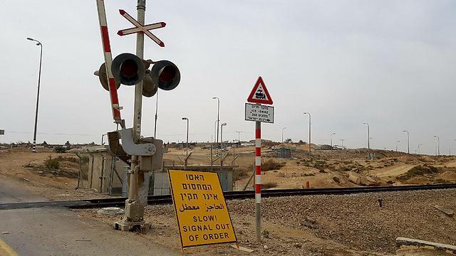 Фото: Рои Эйдан