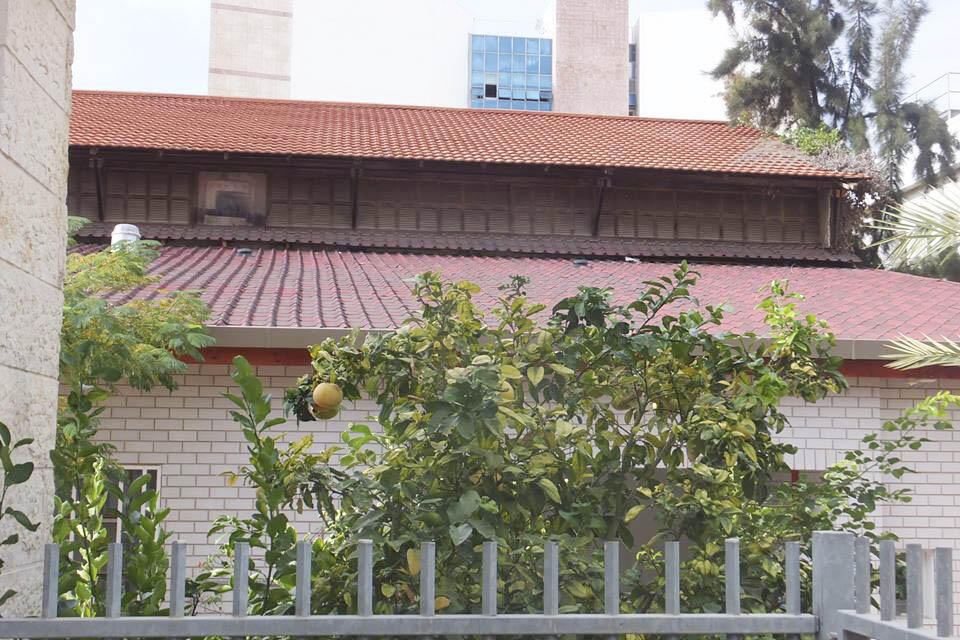 Бывший упаковочный цех цитрусов