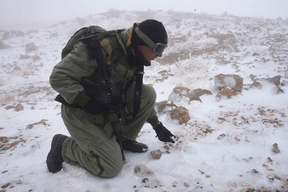 Фото: Авияху Шапира (צילום: אביהו שפירא) Фото: Авияху Шапира