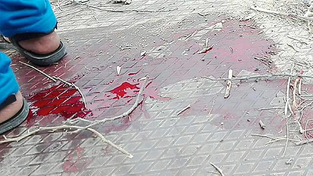 Теракт на Синайском полуострове