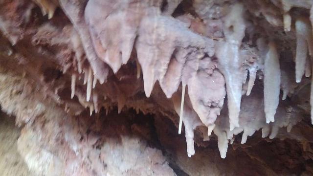 Фото: Ханох Оз, член городского совета Рош ха-Аина (צילום: "חבר המועצה חנוך עוז") Фото: Ханох Оз, член городского совета Рош ха-Аина