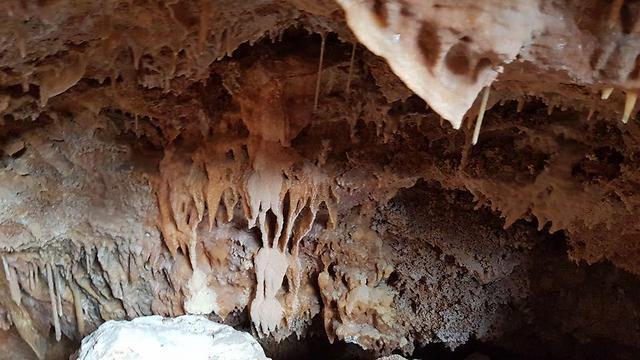 Фото: Ханох Оз, член городского совета Рош ха-Аина (צילום: "חבר המועצה חנוך עוז") Фото: Ханох Оз, член городского совета Рош ха-Аина
