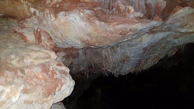 Фото: Гила Розинер (צילום: גילה רוזינר) Фото: Гила Розинер