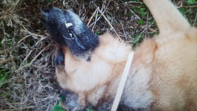 Фотоиллюстрацияnullnull Фотоиллюстрация