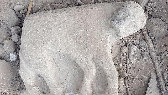 Статуя львицы. Фото: Мордехай Авиам