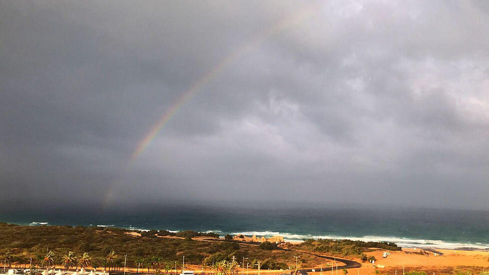Фото: Шмуэль Давид (צילום: שמואל דוד) Фото: Шмуэль Давид