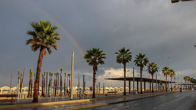 Тель-Авив. Фото: Фото: Мошик Шама (צילום: מושיק שמע ) Тель-Авив. Фото: Фото: Мошик Шама