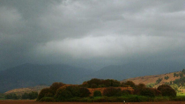 Фото: Боаз Арпаз