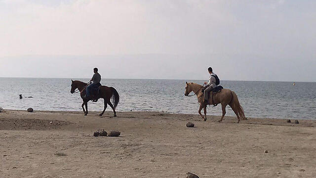 Фото: Управление Кинерета (צילום: רשות הכינרת) Фото: Управление Кинерета