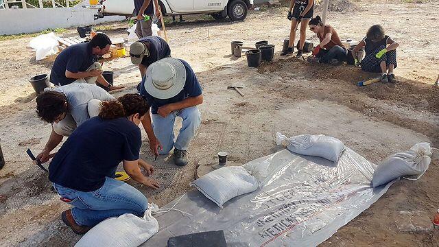 Археологи за работой. Фото: Анат Расюк