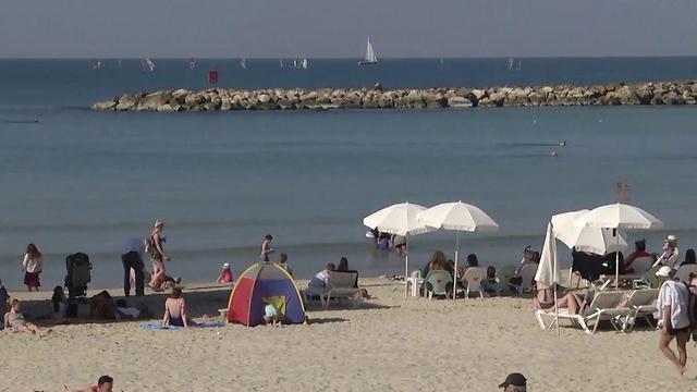 Фото: Ницан Дрор (צילום: ניצן דרור) Фото: Ницан Дрор