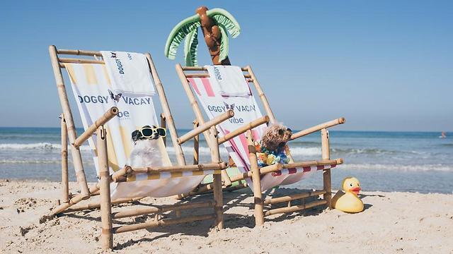 Beach day
