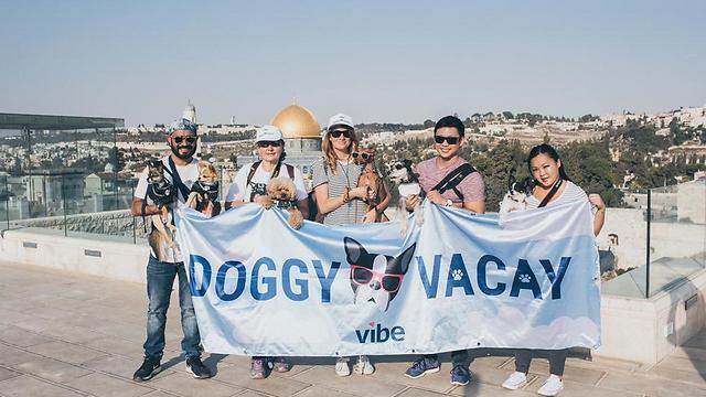 With the humans in Jerusalem