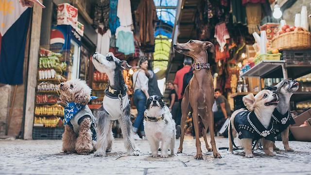 Market day