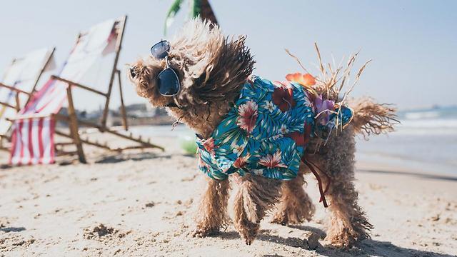 Fun in the sun