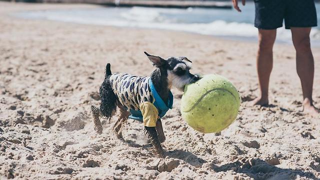 Having a ball