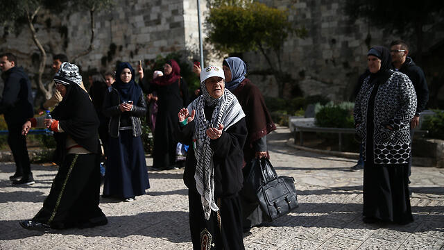  Фото: Охад Цвайгенберг
