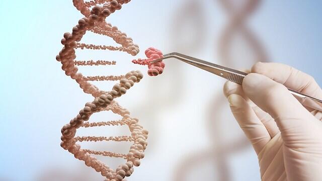 Фото: shutterstock