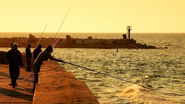 Фото: shutterstock (Фото: shutterstock) Фото: shutterstock