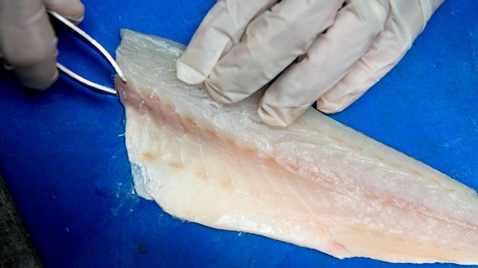 Фото: Ярон Бренер (Фото: Ярон Бренер) Фото: Ярон Бренер