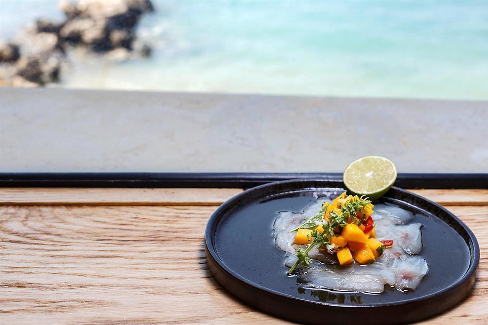 Фото: Дани Голан (Фото: Дани Голан) Фото: Дани Голан