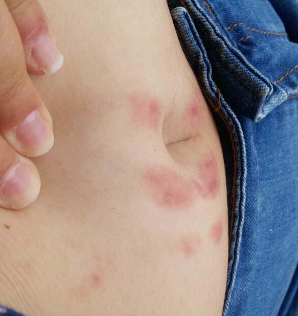 Фото предоставлено пресс-службой "Клалит" (Фото: пресс-служба "Клалит") Фото предоставлено пресс-службой "Клалит"