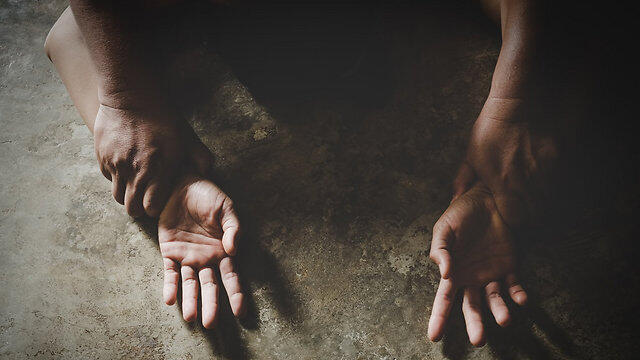 Фото: shutterstock