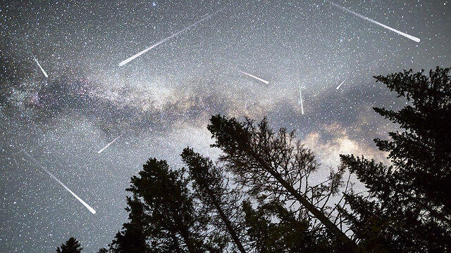 Фото: Shutterstock