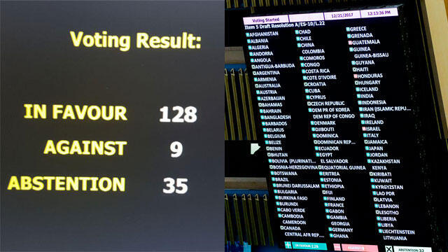 Результаты голосования. Фото: AFP