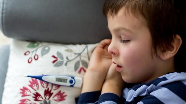 Фото: shutterstock (צילום: shutterstock) Фото: shutterstock