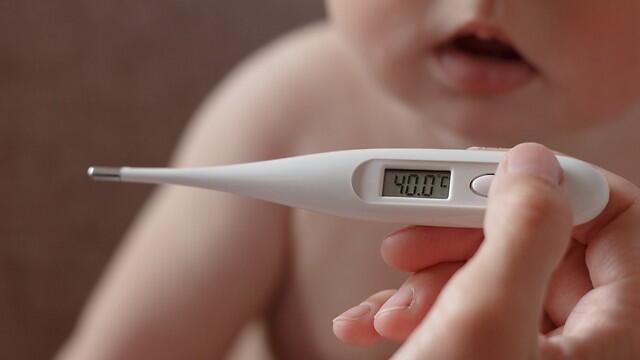 Фото: shutterstock (צילום: shutterstock) Фото: shutterstock