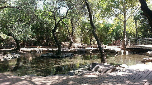 В заповеднике Тель-Дан. Фото: пресс-служба Управления заповедников и национальных парков (צילום: רשות הטבע והגנים) В заповеднике Тель-Дан. Фото: пресс-служба Управления заповедников и национальных парков