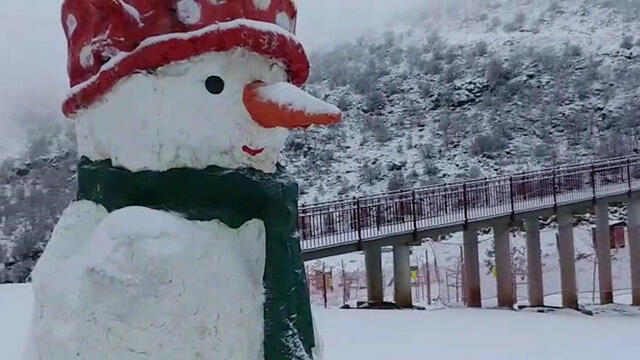 Снег на Хермоне (צילום: אתר החרמון) Снег на Хермоне