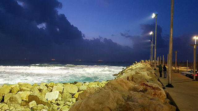 Фото: Рои Идан (צילום: רועי עידן ) Фото: Рои Идан