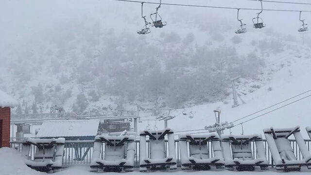 Снег на Хермоне (צילום: אתר החרמון) Снег на Хермоне