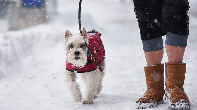 Фото: MCT (צילום: mct) Фото: MCT