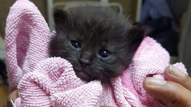 Иллюстрацияnullnull Иллюстрация