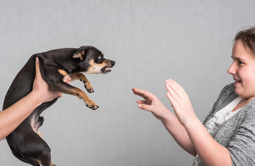 Фото: shutterstock