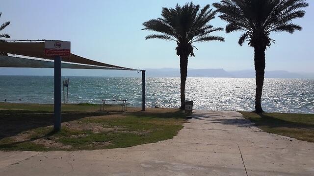 Пляж Халуким, Кинерет. Фото: Управление по делам Кинерета